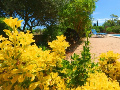 Cottage 413 Finca Can Cova, ETV1361 by Mallorca Charme - Environment photo 18