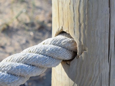 Cottage 413 Finca Can Cova, ETV1361 by Mallorca Charme - Environment photo 24