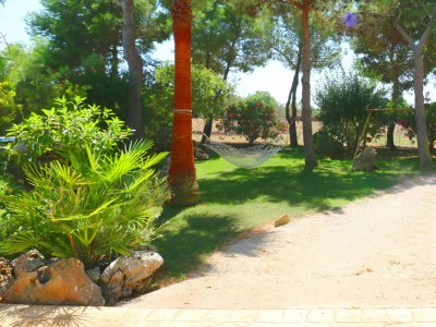 Cottage 414 Finca Can Crestall, VT1725 by Mallorca Charme - Environment photo 16