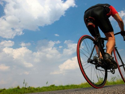 Cottage 415 Finca Can Guillem ETV2425 by Mallorca Charme - Environment photo 18