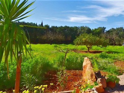 Cottage 420 Finca Son Antem ETV/6717 by Mallorca Charme - Environment photo 27