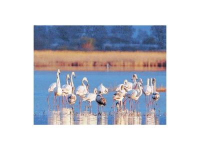 Villa Epicurean Retreat - Environment photo 26