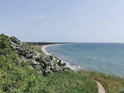 Holiday house 5 Sterne Ferienhaus in Humble - Outdoor photo 18