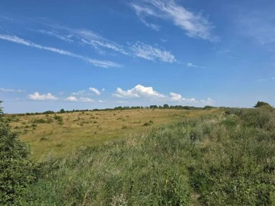 Holiday house 5 Sterne Ferienhaus in Humble - Outdoor photo 37