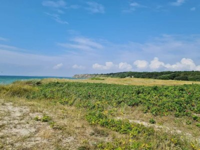 Holiday house 5 Sterne Ferienhaus in Humble - Outdoor photo 38