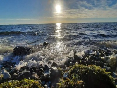 Holiday house 5 Sterne Ferienhaus in Humble - Outdoor photo 43