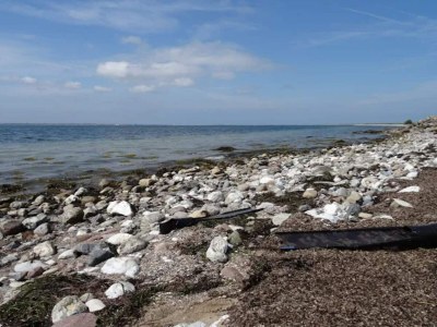 Holiday house 5 Sterne Ferienhaus in Humble - Outdoor photo 46