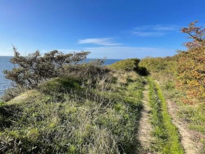 Holiday house 5 Sterne Ferienhaus in Humble - Outdoor photo 51