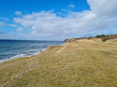 Holiday house 5 Sterne Ferienhaus in Humble - Outdoor photo 52