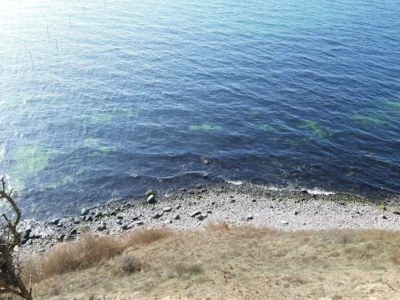 Holiday house 5 Sterne Ferienhaus in Humble - Outdoor photo 53