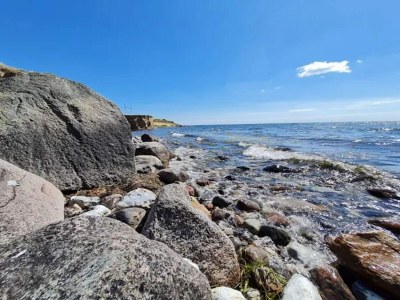 Holiday house 5 Sterne Ferienhaus in Humble - Outdoor photo 58