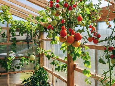 Holiday house 6 Personen Ferienhaus in Ebeltoft - Outdoor photo 31