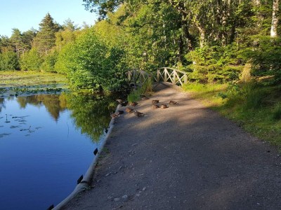Holiday house 5 Sterne Ferienhaus in Løkken - Outdoor photo 9