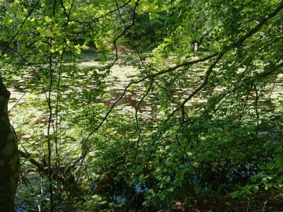 Holiday house 5 Sterne Ferienhaus in Løkken - Outdoor photo 29