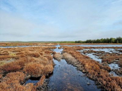 Holiday house 5 star holiday home in Henne Beach - Outdoor photo 13