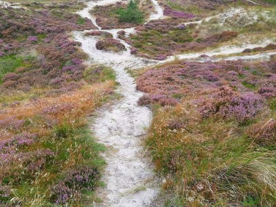 Holiday house 5 star holiday home in Henne Beach - Outdoor photo 26