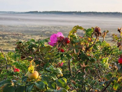 Holiday house 5 star holiday home in Henne Beach - Outdoor photo 27
