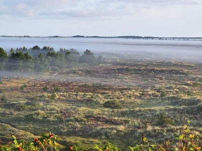 Holiday house 5 star holiday home in Henne Beach - Outdoor photo 38