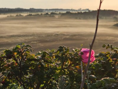 Holiday house 5 star holiday home in Henne Beach - Outdoor photo 39