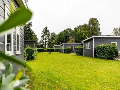 Holiday house Detached chalet for 5 people in Terwolde - Outdoor photo 2