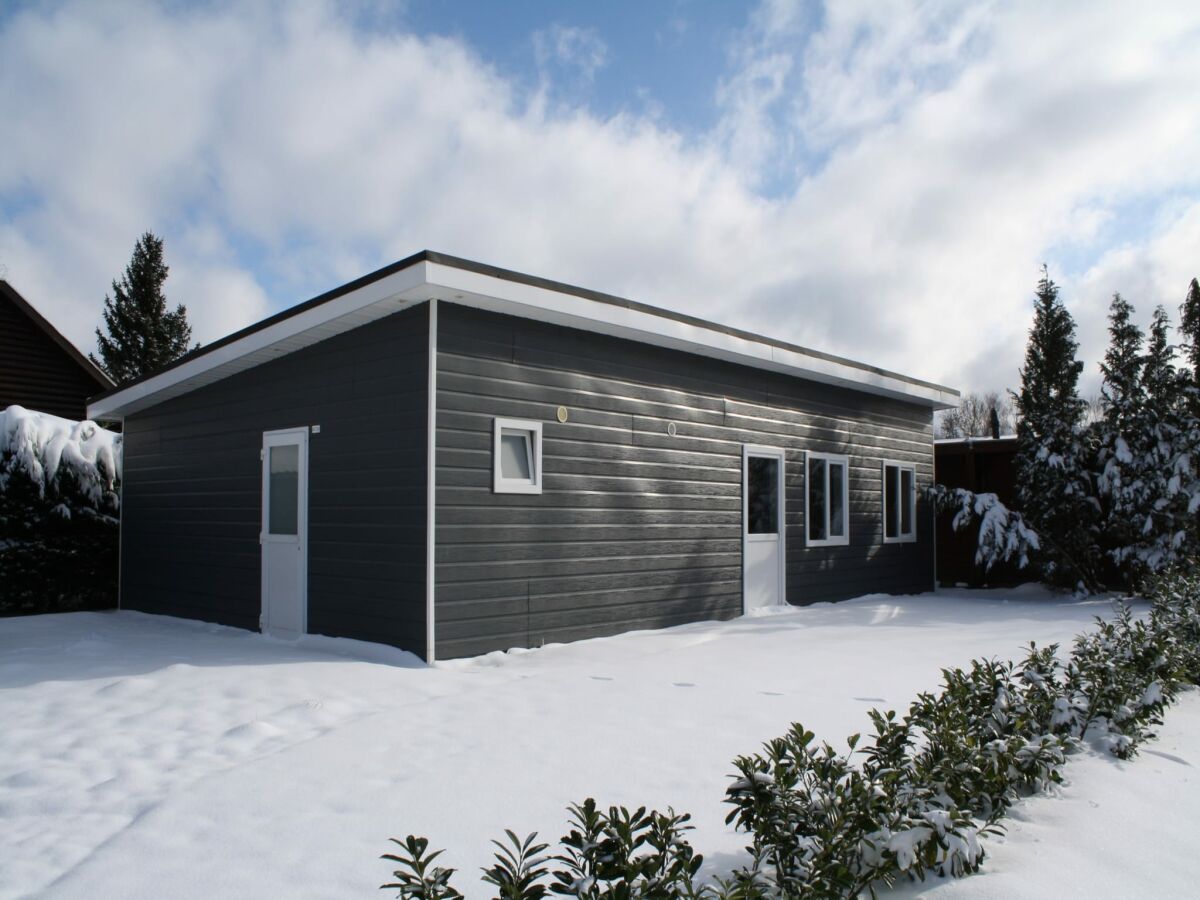 Holiday house Fully furnished chalet in Terwolde - Outdoor photo 2