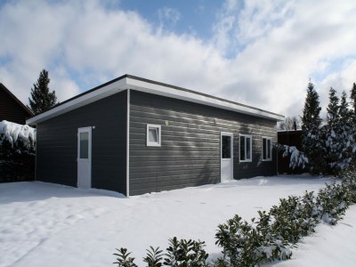 Holiday house Fully furnished chalet in Terwolde - Outdoor photo 2