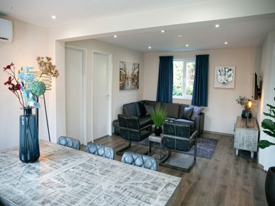 Holiday house Fully furnished chalet in Terwolde - Features photo 10