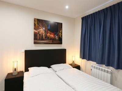 Holiday house Fully furnished chalet in Terwolde - Features photo 17