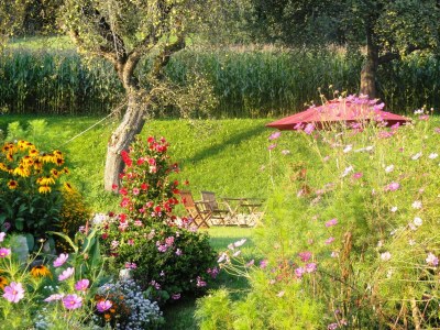 Holiday apartment Landhaus Bonaventura - Outdoor photo 3