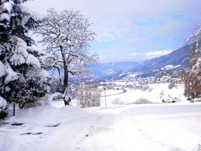 Holiday apartment Landhaus Bonaventura - Environment photo 19