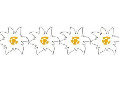 Holiday apartment Landhaus Bonaventura - Document photo 22