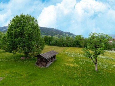 Apartment Apartment in Tyrol near Kitzbühel - Outdoor photo 8