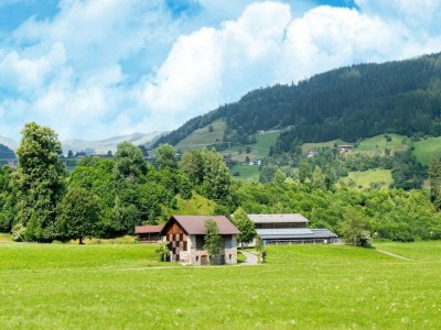 Apartment Apartment in Tyrol near Kitzbühel - Environment photo 35