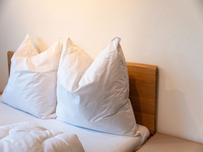 Holiday house Ferienwohnung in Tirol in der Nähe von Kitzbühel - Features photo 20