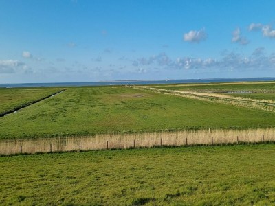 Holiday house Greetjehaus in Westerbur - Environment photo 16