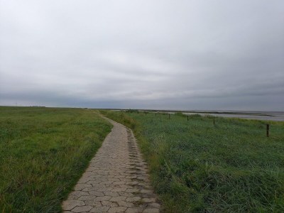 Holiday house Greetjehaus in Westerbur - Environment photo 19