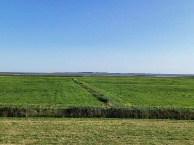 Holiday house Greetjehaus in Westerbur - Environment photo 20
