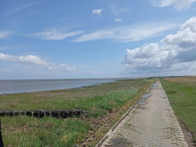 Holiday house Greetjehaus in Westerbur - Environment photo 24