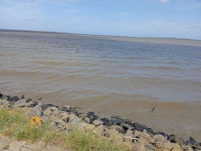 Holiday house Greetjehaus in Westerbur - Environment photo 25