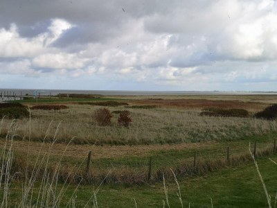 Holiday house Greetjehaus in Westerbur - Environment photo 26