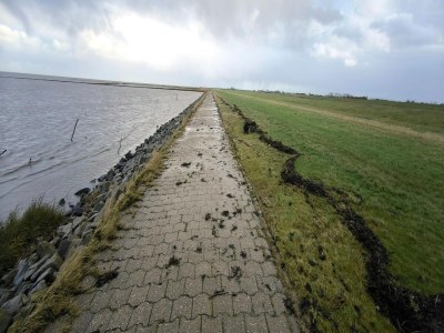 Holiday house Greetjehaus in Westerbur - Environment photo 28
