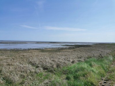 Holiday house Greetjehaus in Westerbur - Environment photo 29