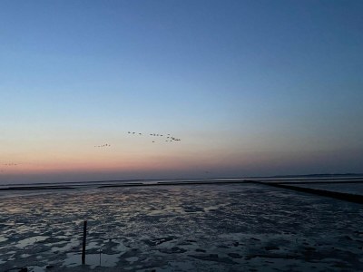 Holiday house Greetjehaus in Westerbur - Environment photo 31