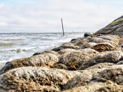Holiday house Greetjehaus in Westerbur - Environment photo 32