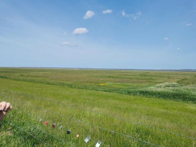 Holiday house Greetjehaus in Westerbur - Environment photo 38