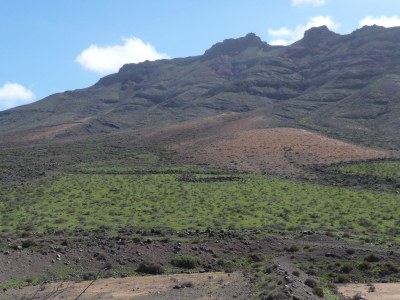 Villa a "DREAM" directly at the beach Nr. 2 - Environment photo 26