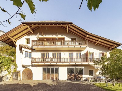 Holiday apartment Weinberg im Lindenhof - Outdoor photo 4