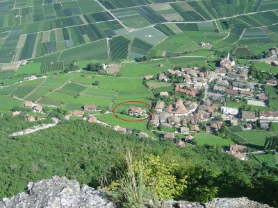 Holiday apartment Weinberg im Lindenhof - Environment photo 18