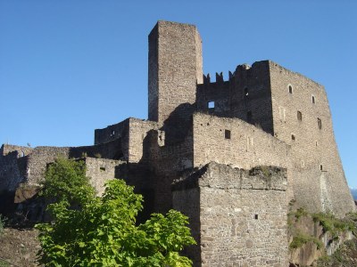 Holiday apartment Weinberg im Lindenhof - Environment photo 20
