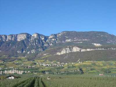 Holiday apartment Weinberg im Lindenhof - Environment photo 21